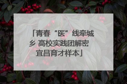 青春“医”线牵城乡 高校实践团解密宜昌育才样本