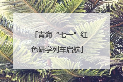 青海“七一”红色研学列车启航