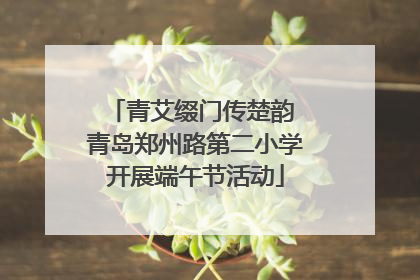 青艾缀门传楚韵 青岛郑州路第二小学开展端午节活动
