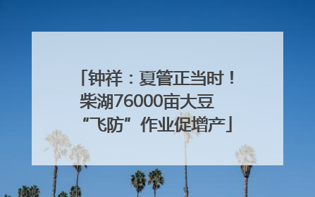 钟祥：夏管正当时！柴湖76000亩大豆“飞防”作业促增产