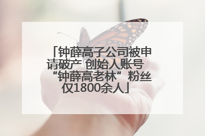 钟薛高子公司被申请破产 创始人账号“钟薛高老林”粉丝仅1800余人