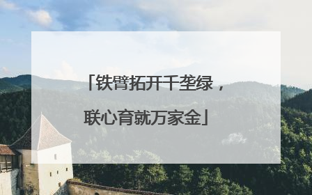 铁臂拓开千垄绿，联心育就万家金