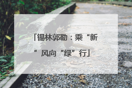 锡林郭勒：乘“新”风向“绿”行