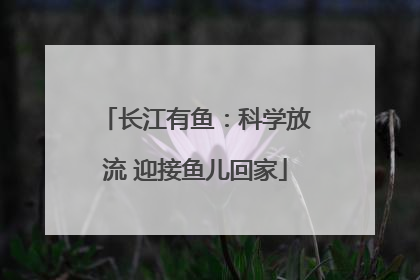 长江有鱼：科学放流 迎接鱼儿回家