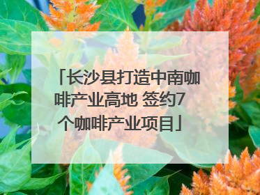 长沙县打造中南咖啡产业高地 签约7个咖啡产业项目