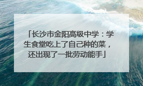 长沙市金阳高级中学：学生食堂吃上了自己种的菜，还出现了一批劳动能手