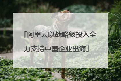 阿里云以战略级投入全力支持中国企业出海