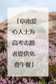 阜南爱心人士为高考志愿者提供免费午餐