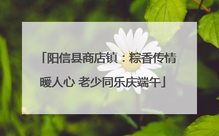阳信县商店镇：粽香传情暖人心 老少同乐庆端午