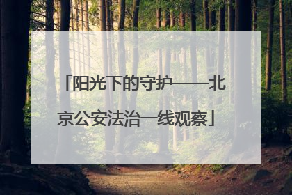阳光下的守护——北京公安法治一线观察