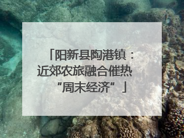 阳新县陶港镇：近郊农旅融合催热“周末经济”