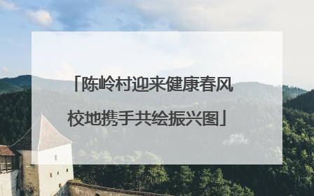 陈岭村迎来健康春风 校地携手共绘振兴图