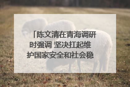 陈文清在青海调研时强调 坚决扛起维护国家安全和社会稳定职责使命 为谱写中国式现代化青海篇章贡献政法力量