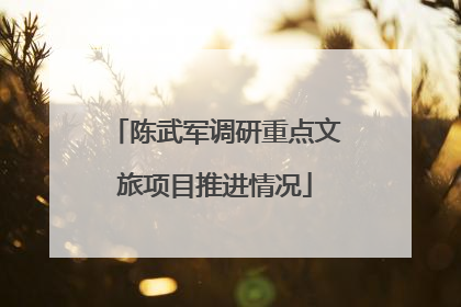 陈武军调研重点文旅项目推进情况