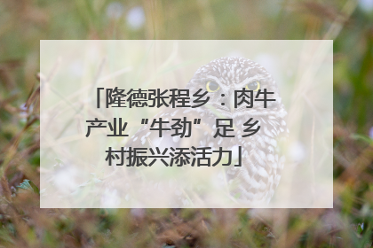 隆德张程乡：肉牛产业“牛劲”足 乡村振兴添活力