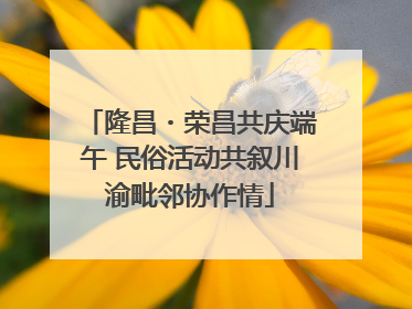 隆昌・荣昌共庆端午 民俗活动共叙川渝毗邻协作情