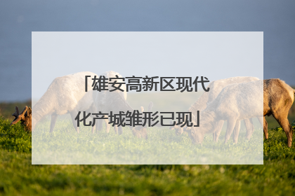 雄安高新区现代化产城雏形已现