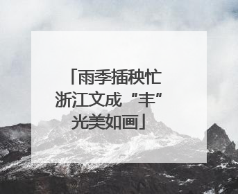 雨季插秧忙 浙江文成“丰”光美如画