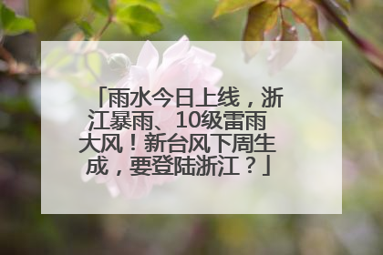 雨水今日上线，浙江暴雨、10级雷雨大风！新台风下周生成，要登陆浙江？