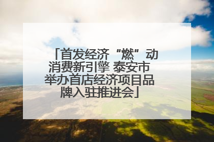 首发经济“燃”动消费新引擎 泰安市举办首店经济项目品牌入驻推进会
