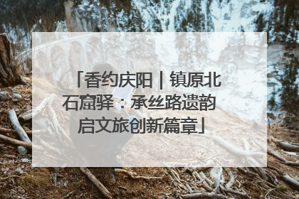 香约庆阳｜镇原北石窟驿：承丝路遗韵 启文旅创新篇章