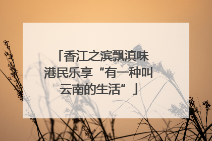 香江之滨飘滇味 港民乐享“有一种叫云南的生活”