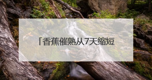 香蕉催熟从7天缩短到3天 新发地国际香蕉集散中心正式启用