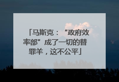 马斯克：“政府效率部”成了一切的替罪羊，这不公平
