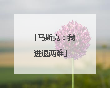 马斯克：我进退两难