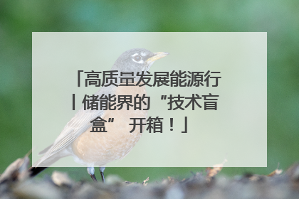 高质量发展能源行丨储能界的“技术盲盒” 开箱！