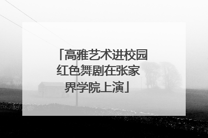 高雅艺术进校园 红色舞剧在张家界学院上演