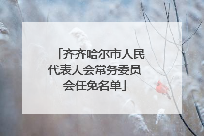 齐齐哈尔市人民代表大会常务委员会任免名单