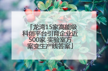 龙湾15家高能级科创平台引育企业近500家 实验室方案变生产线答案