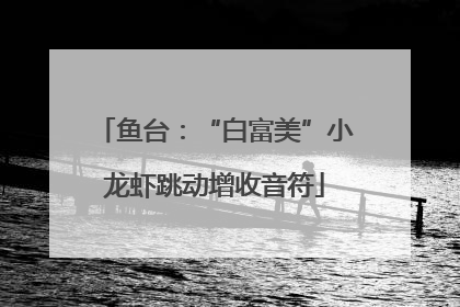 鱼台：“白富美”小龙虾跳动增收音符