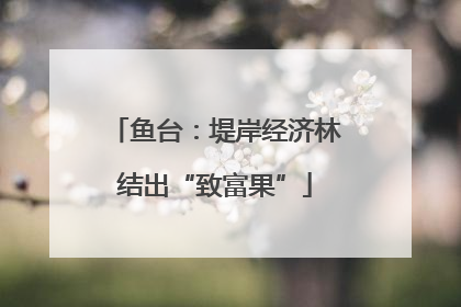鱼台：堤岸经济林结出“致富果”