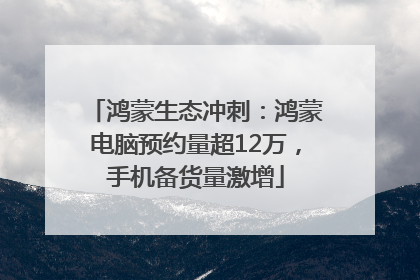 鸿蒙生态冲刺：鸿蒙电脑预约量超12万，手机备货量激增