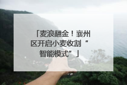 麦浪翻金！襄州区开启小麦收割“智能模式”