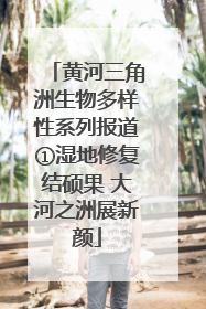 黄河三角洲生物多样性系列报道①湿地修复结硕果 大河之洲展新颜