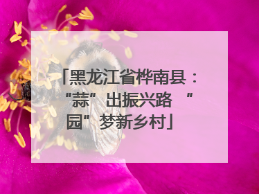 黑龙江省桦南县：“蒜”出振兴路 “园”梦新乡村