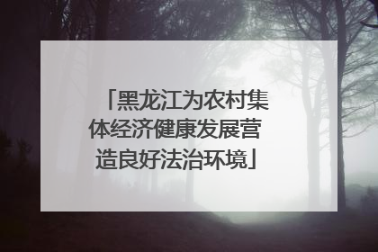 黑龙江为农村集体经济健康发展营造良好法治环境