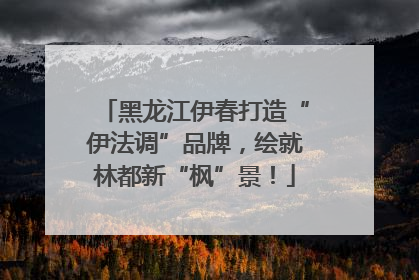 黑龙江伊春打造“伊法调”品牌，绘就林都新“枫”景！