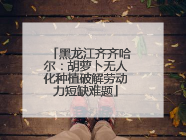 黑龙江齐齐哈尔：胡萝卜无人化种植破解劳动力短缺难题