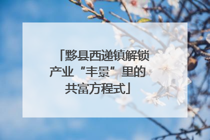 黟县西递镇解锁产业“丰景”里的共富方程式