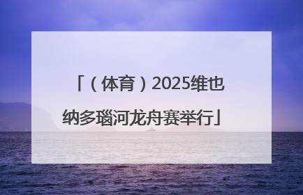 （体育）2025维也纳多瑙河龙舟赛举行
