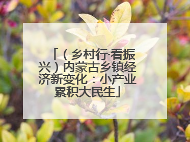 （乡村行·看振兴）内蒙古乡镇经济新变化：小产业累积大民生