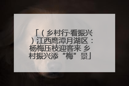 （乡村行·看振兴）江西鹰潭月湖区：杨梅压枝迎客来 乡村振兴添“梅”景
