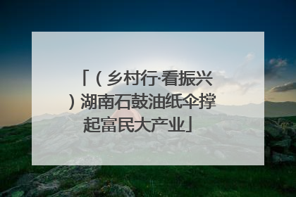（乡村行·看振兴）湖南石鼓油纸伞撑起富民大产业