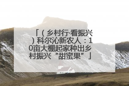 （乡村行·看振兴）科尔沁新农人：10亩大棚起家种出乡村振兴“甜蜜果”