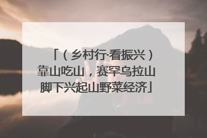 （乡村行·看振兴）靠山吃山，赛罕乌拉山脚下兴起山野菜经济