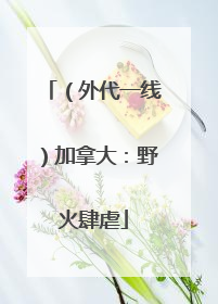 （外代一线）加拿大：野火肆虐